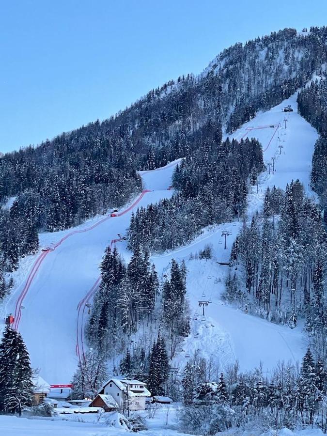 Koca Vitranc Villa Kranjska Gora Buitenkant foto